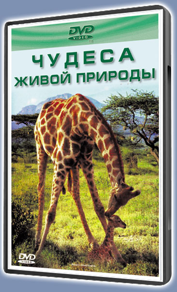 Чудеса живой природы